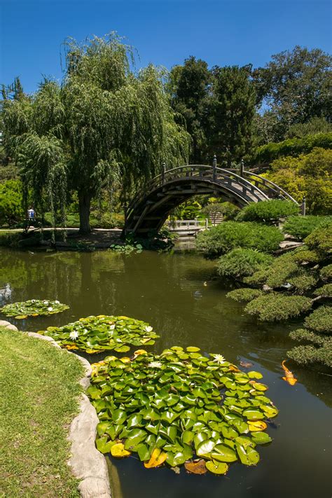 huntington library free admission.